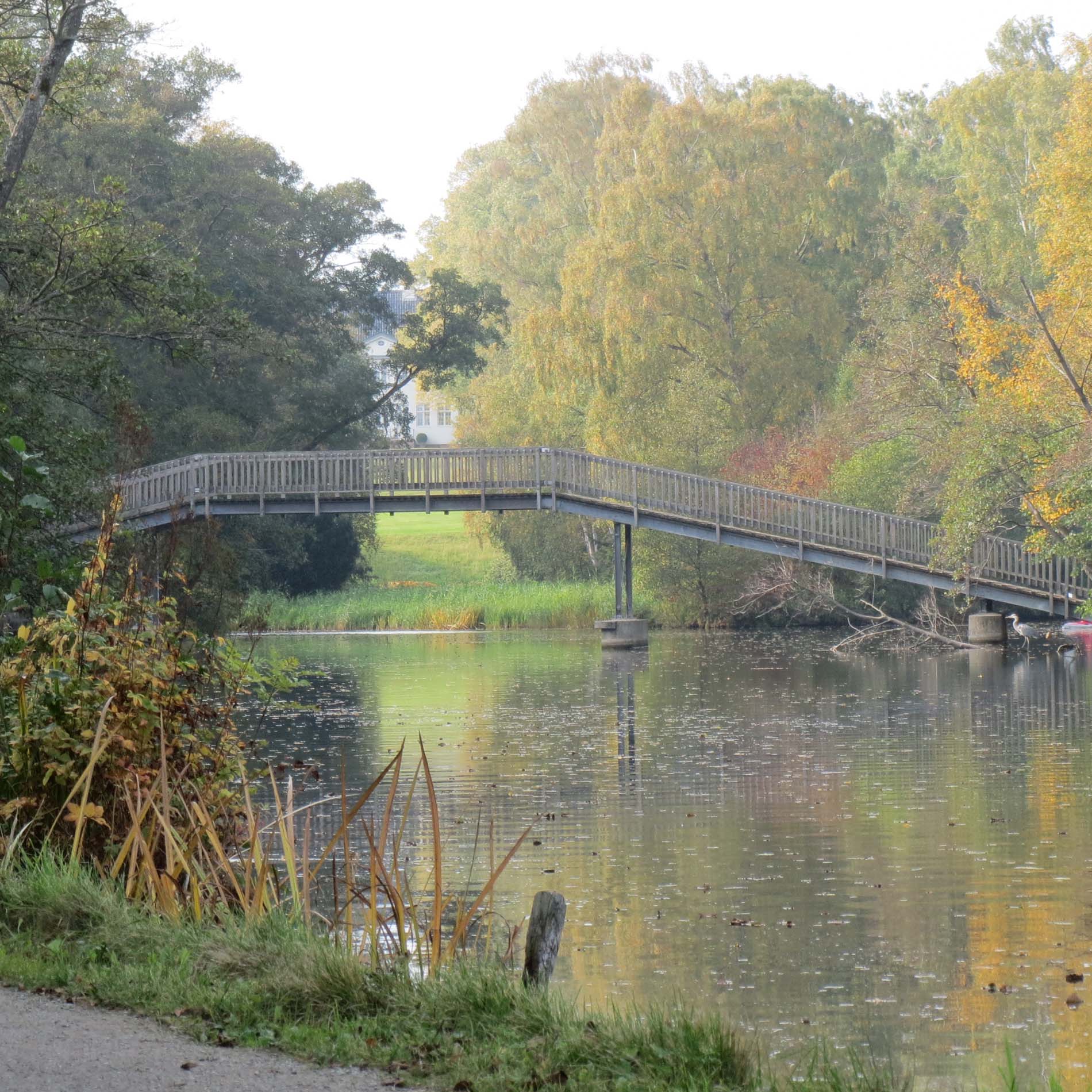 Lyngby Sø — Fotografi