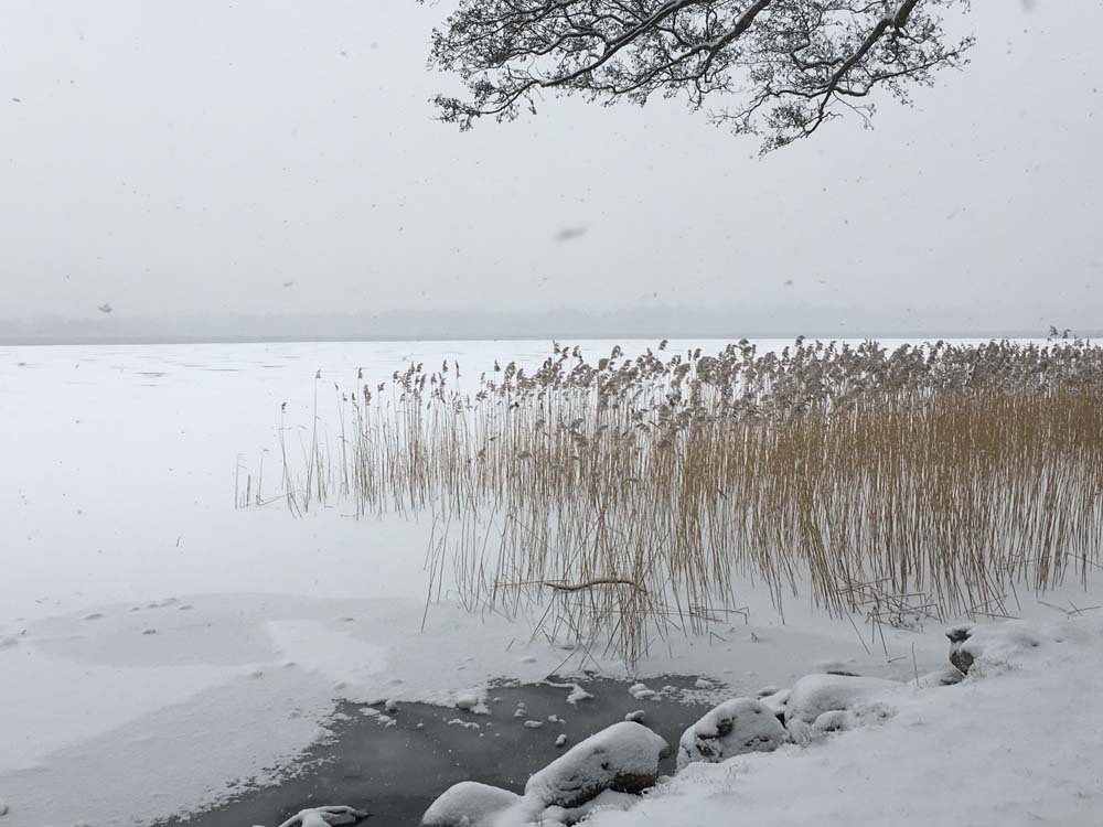 Søndersø ved Værløse III — Fotografi