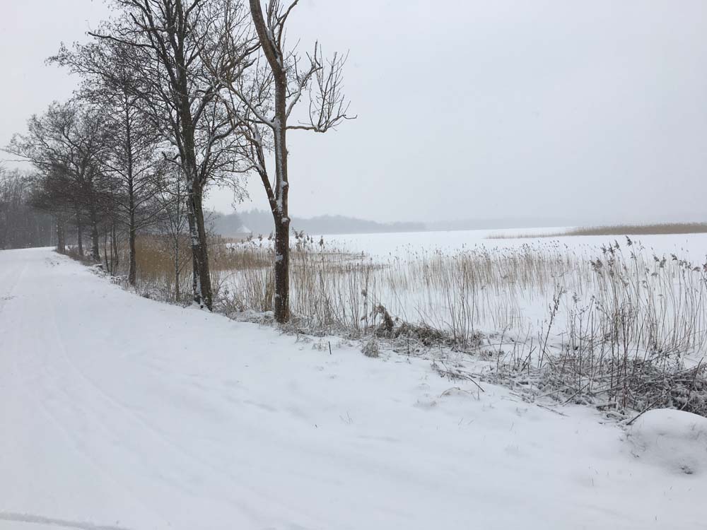 Søndersø ved Værløse V — Fotografi
